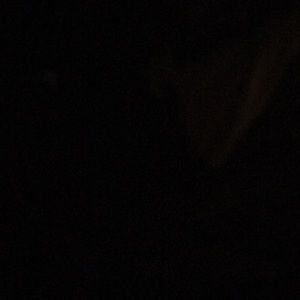 Meet your Posher, Rafael